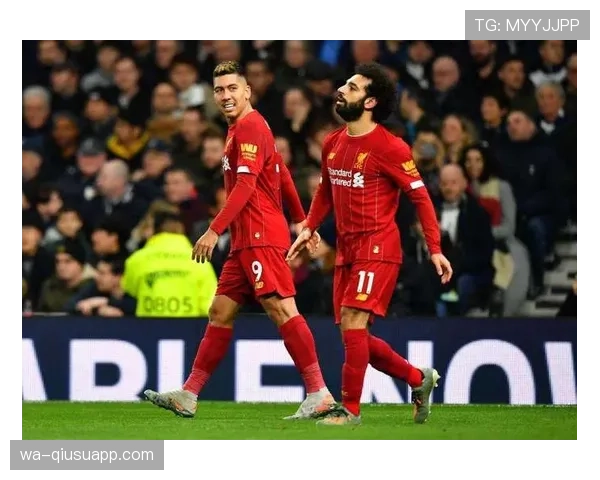 努涅斯身价是否虚高：赛场表现与市场估值的匹配度解析