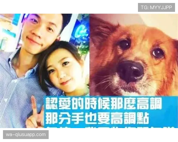 富里睡醒发现自家马场又多了一匹纯血小马，账单还没付清呢